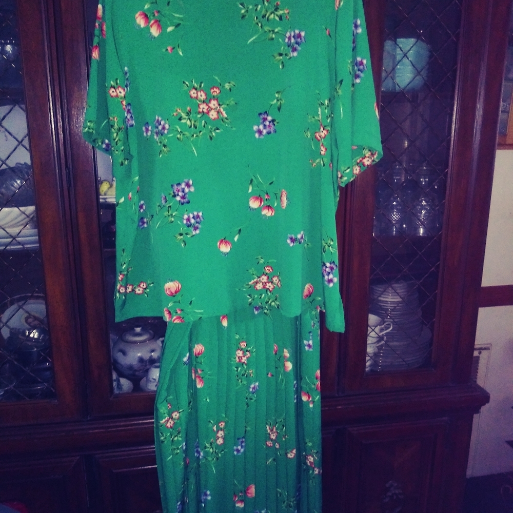 Alfred dunner 2 piece skirt set !size. 24
.. pictures do it no JUSTICE !